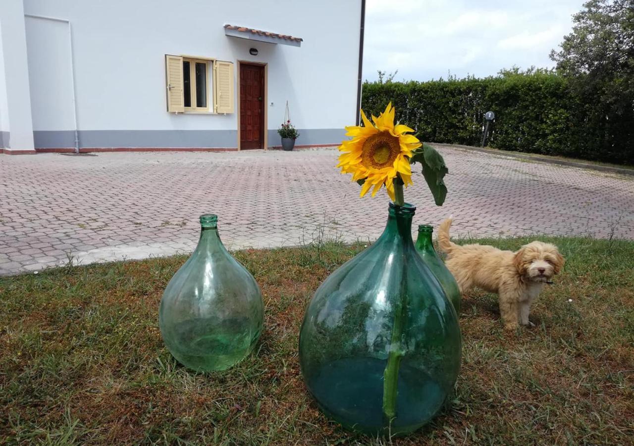 Casa Amrita, Yoga B&B Teramo Exteriör bild