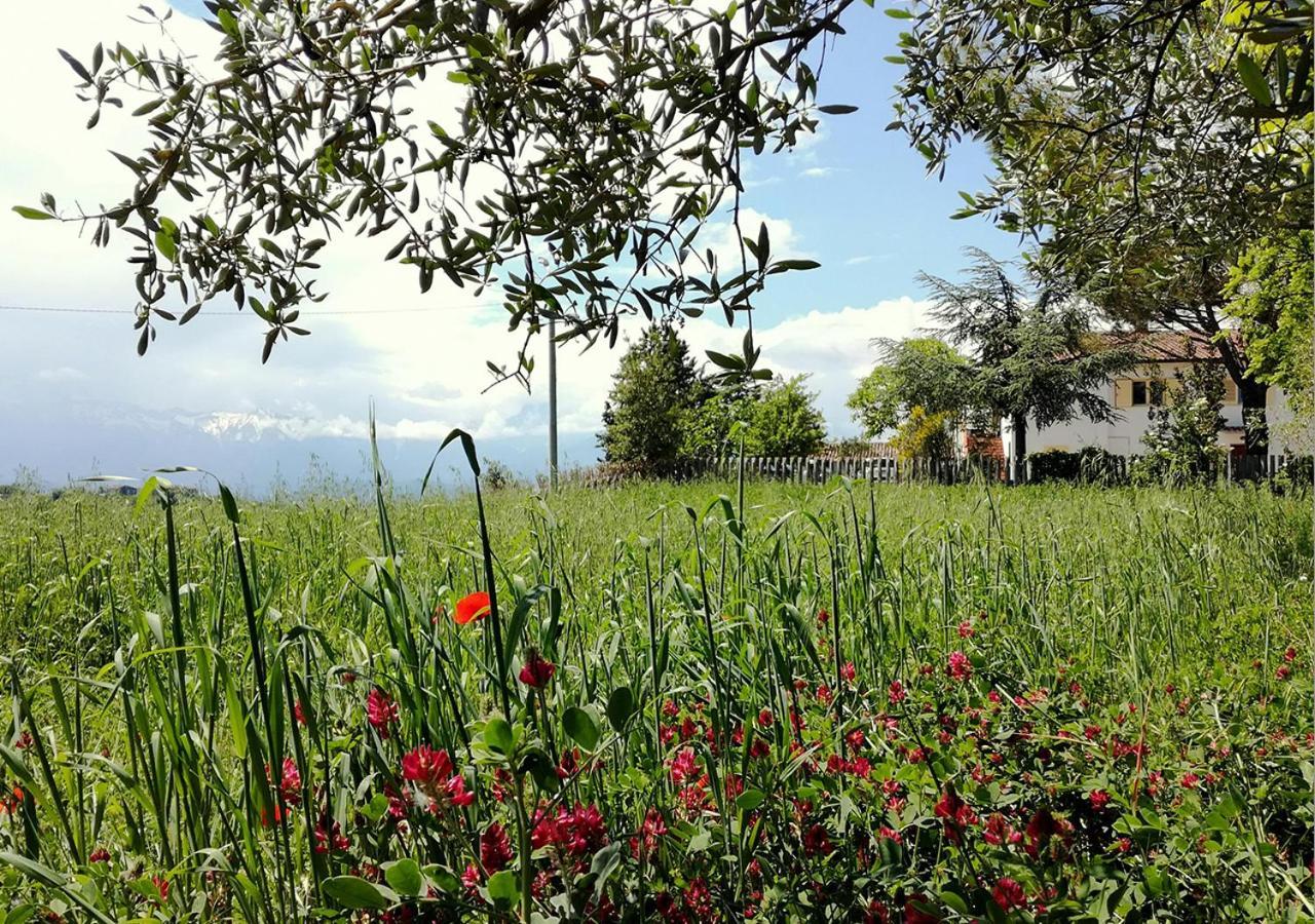 Casa Amrita, Yoga B&B Teramo Exteriör bild